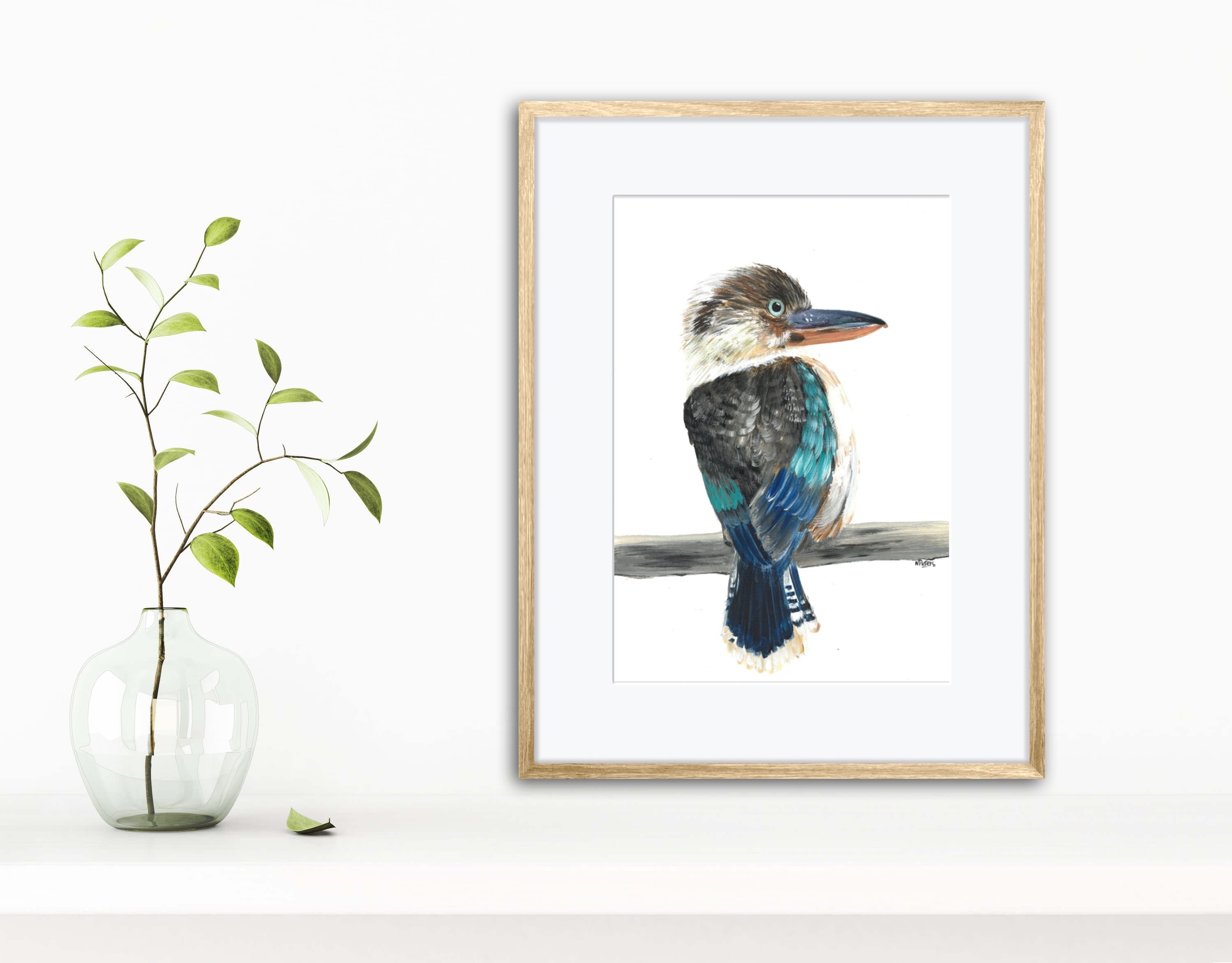Blue Winged Kookaburra