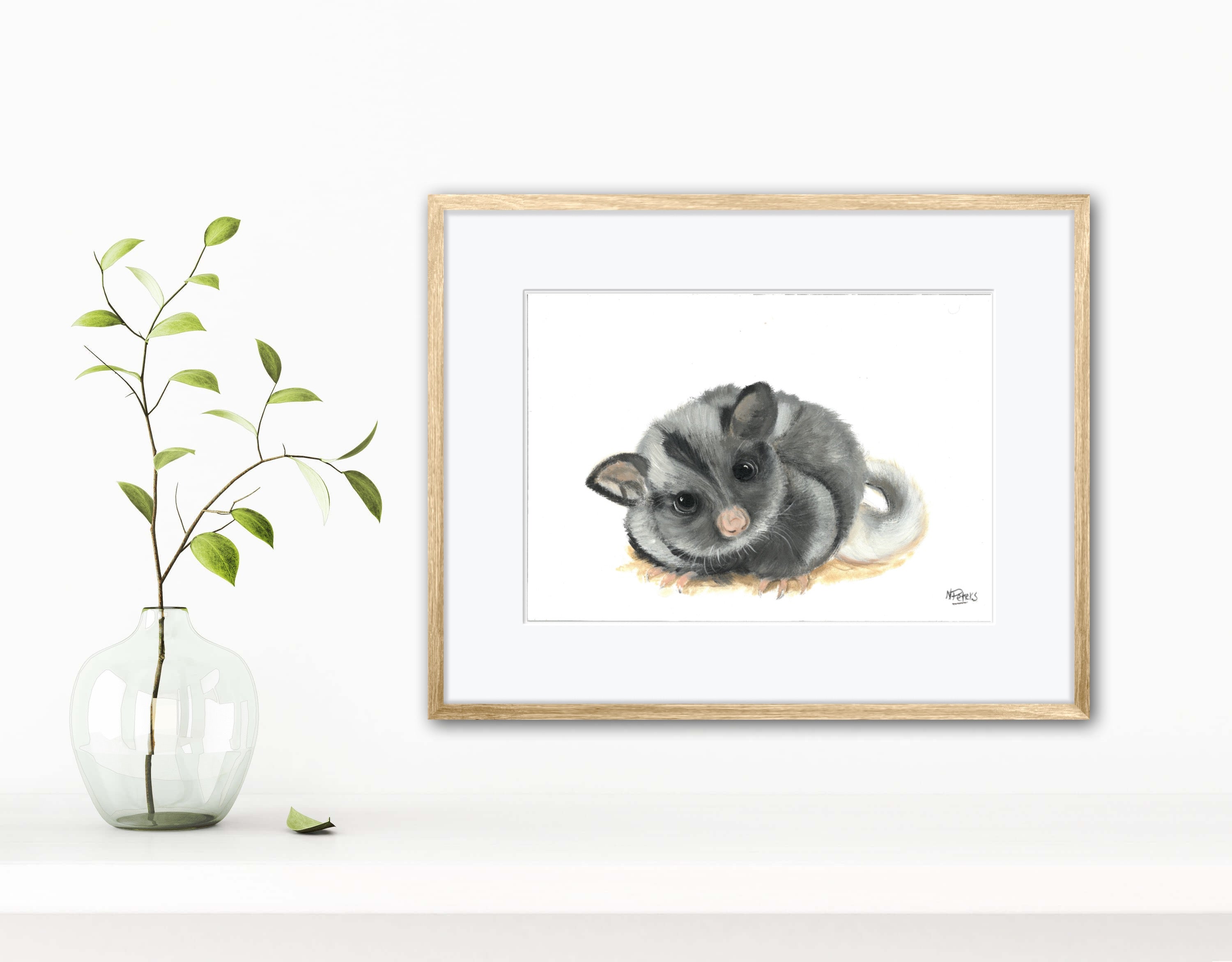 Possum