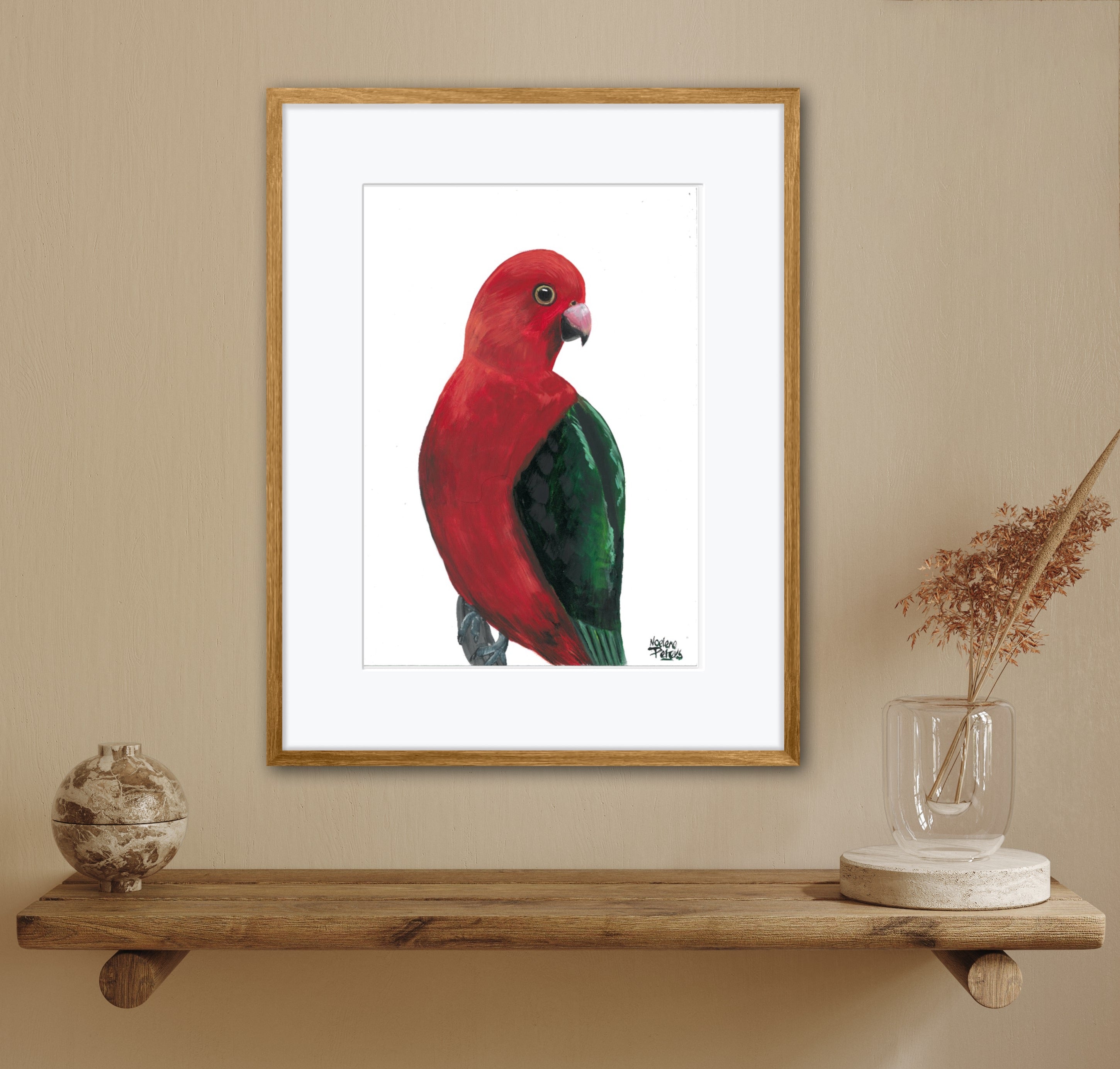King Parrot