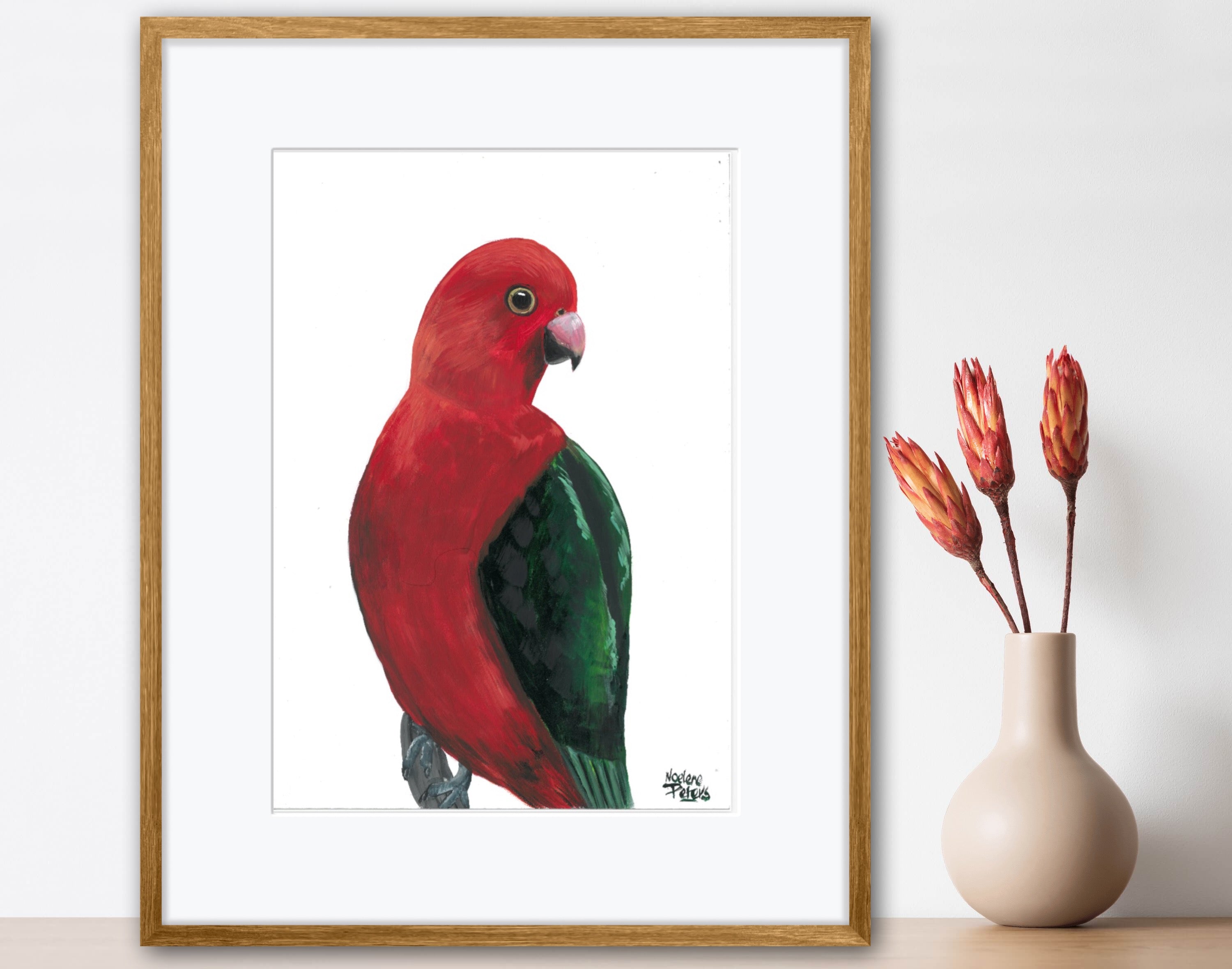 King Parrot