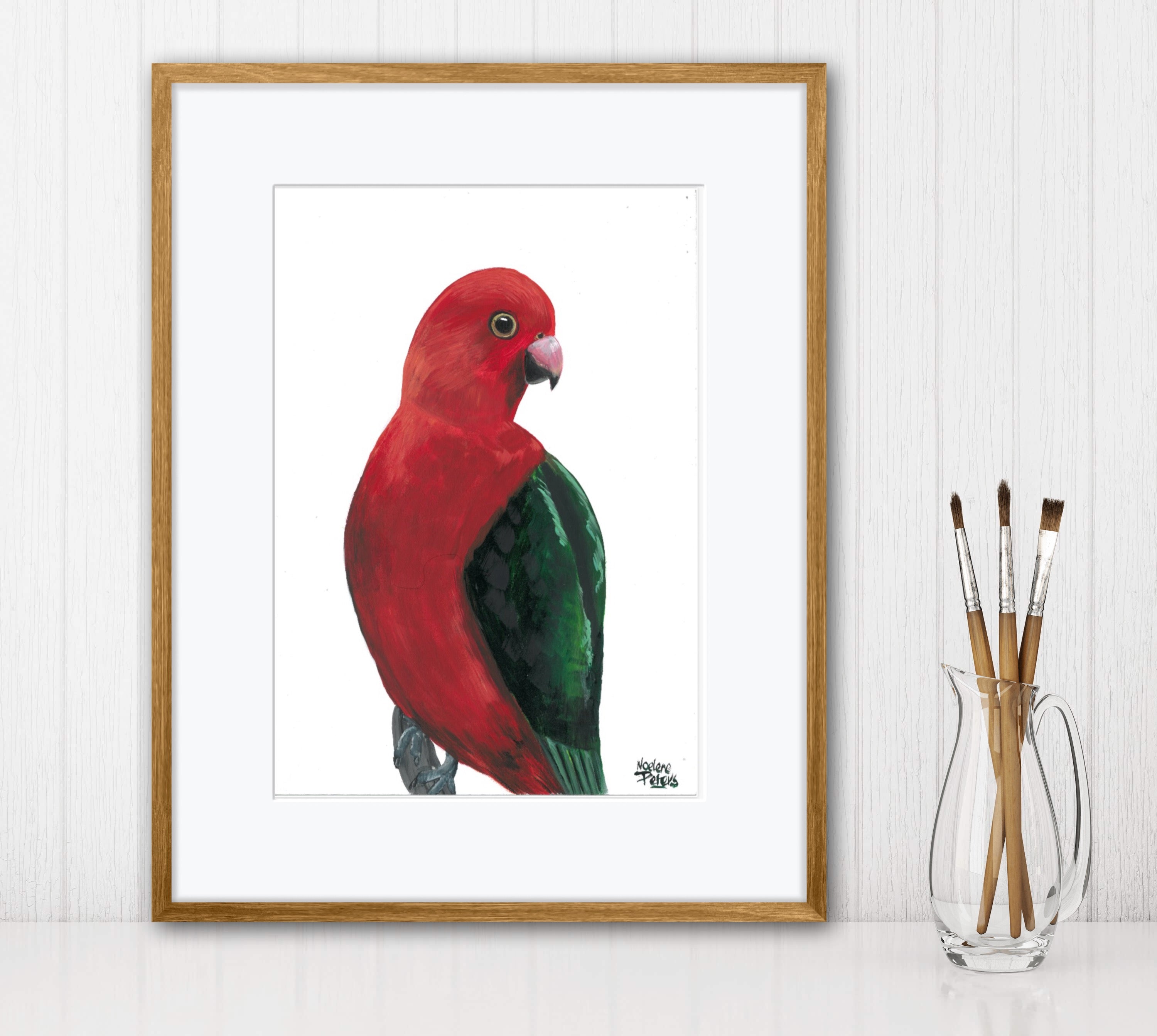 King Parrot