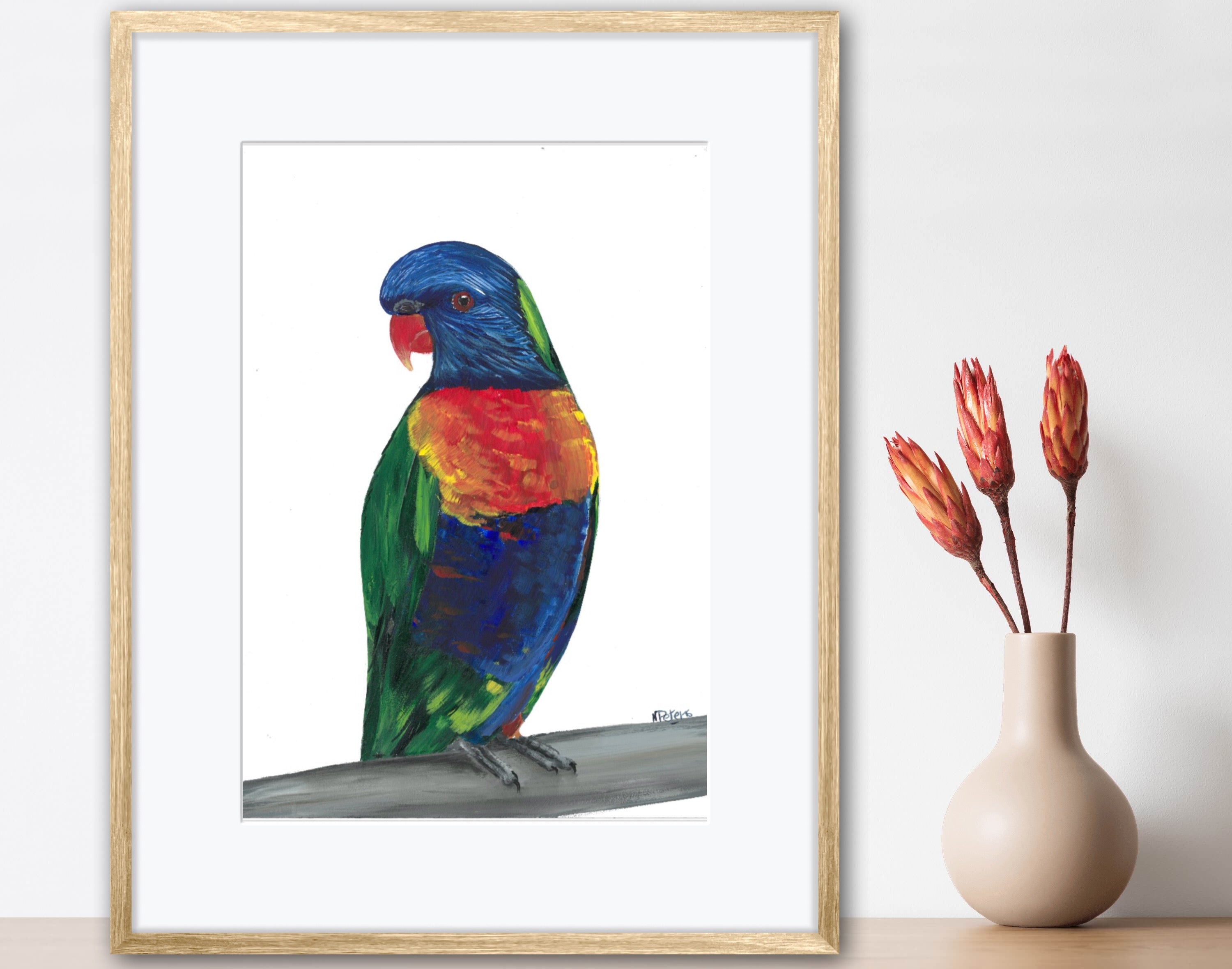 Lorikeet
