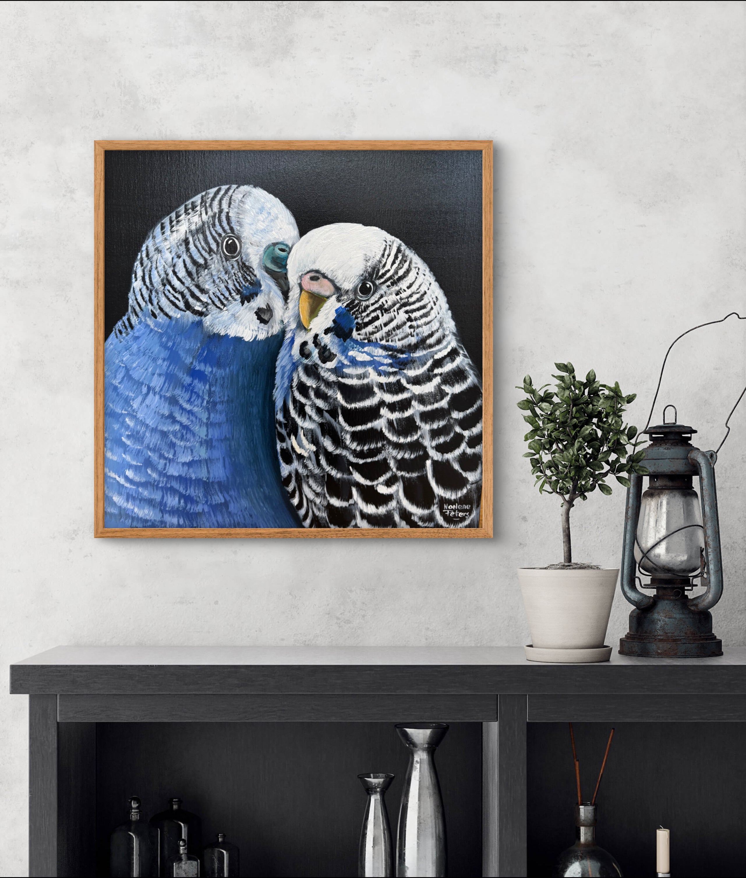 Budgie Love