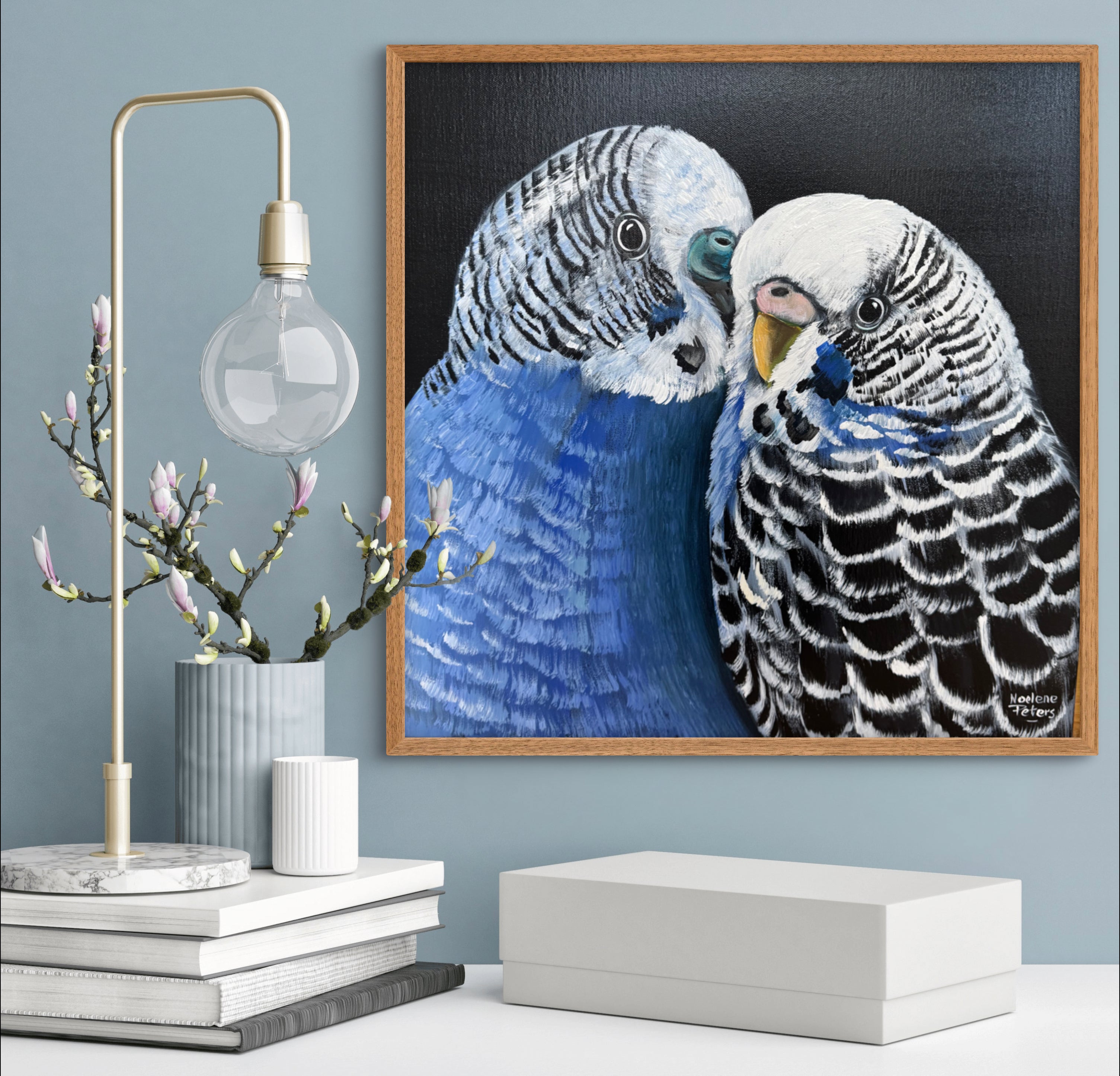 Budgie Love