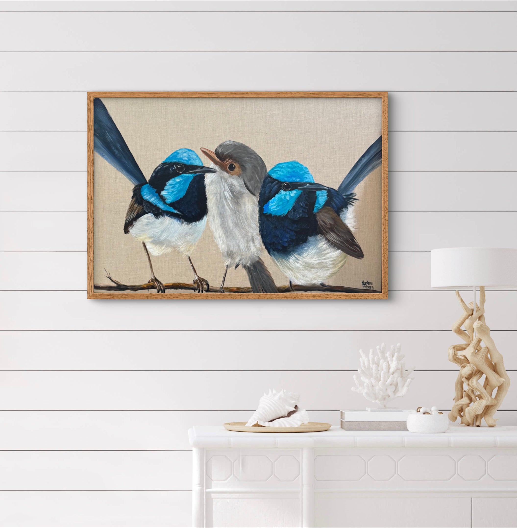 Three Blue Wrens