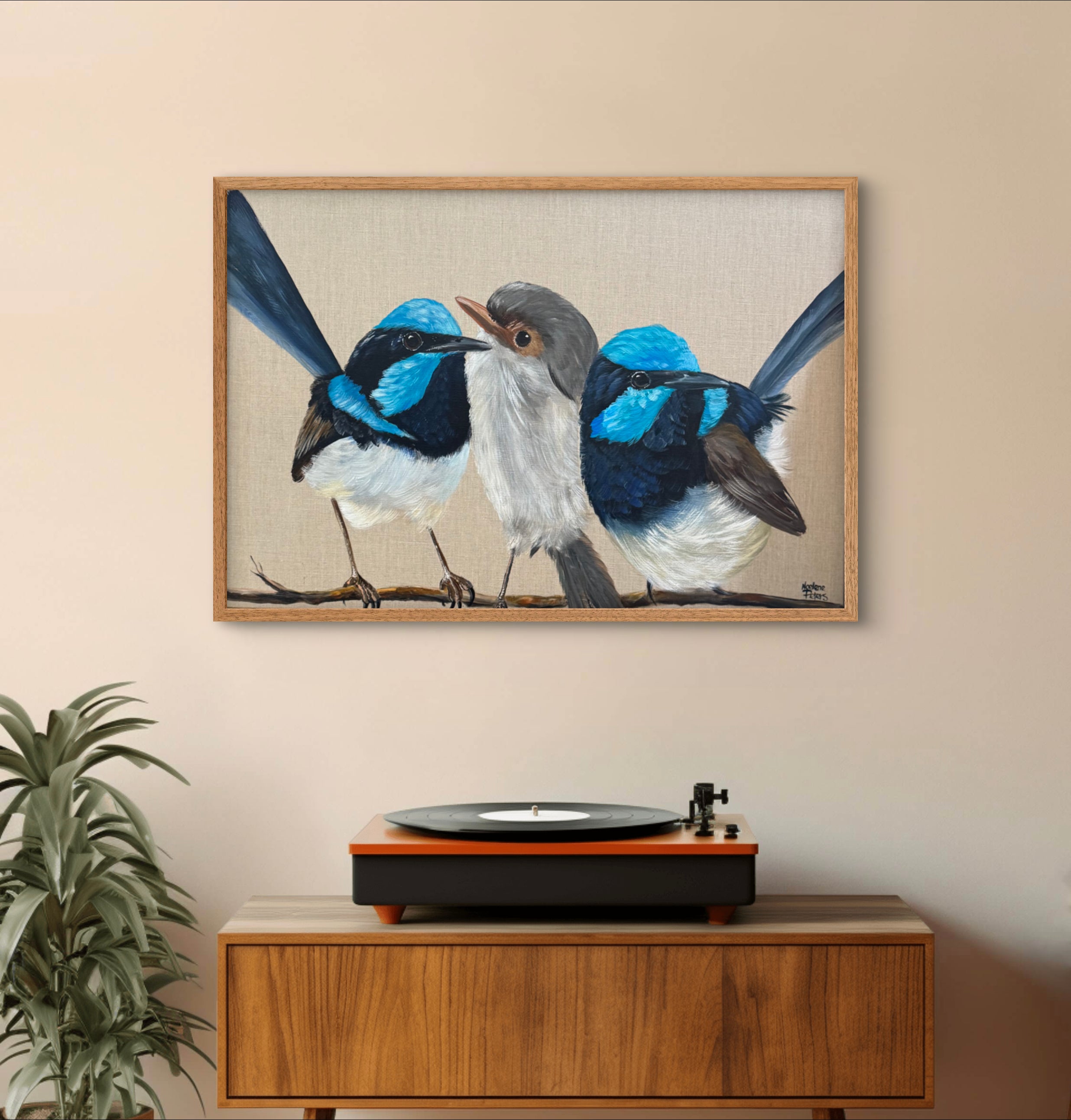 Three Blue Wrens