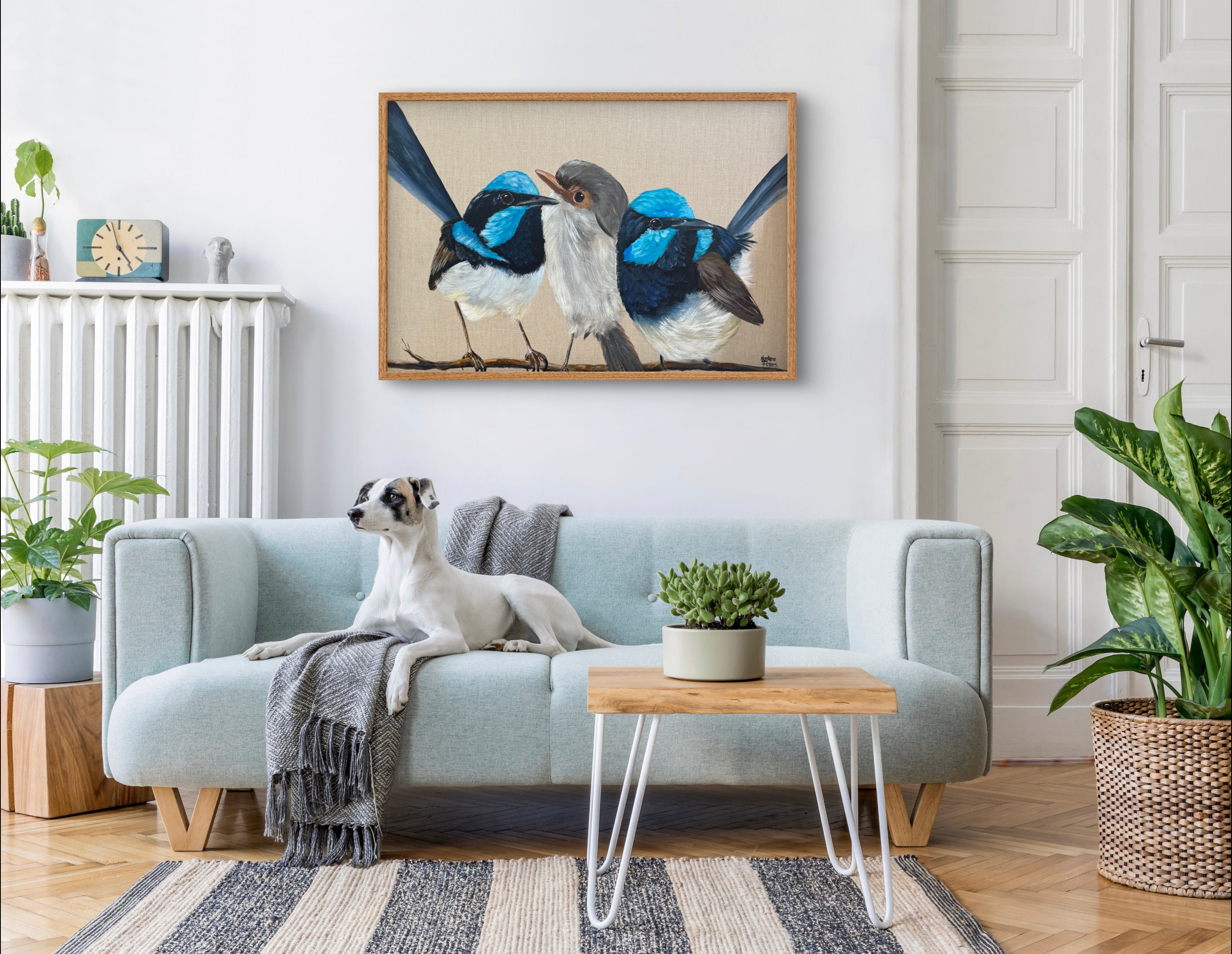 Three Blue Wrens