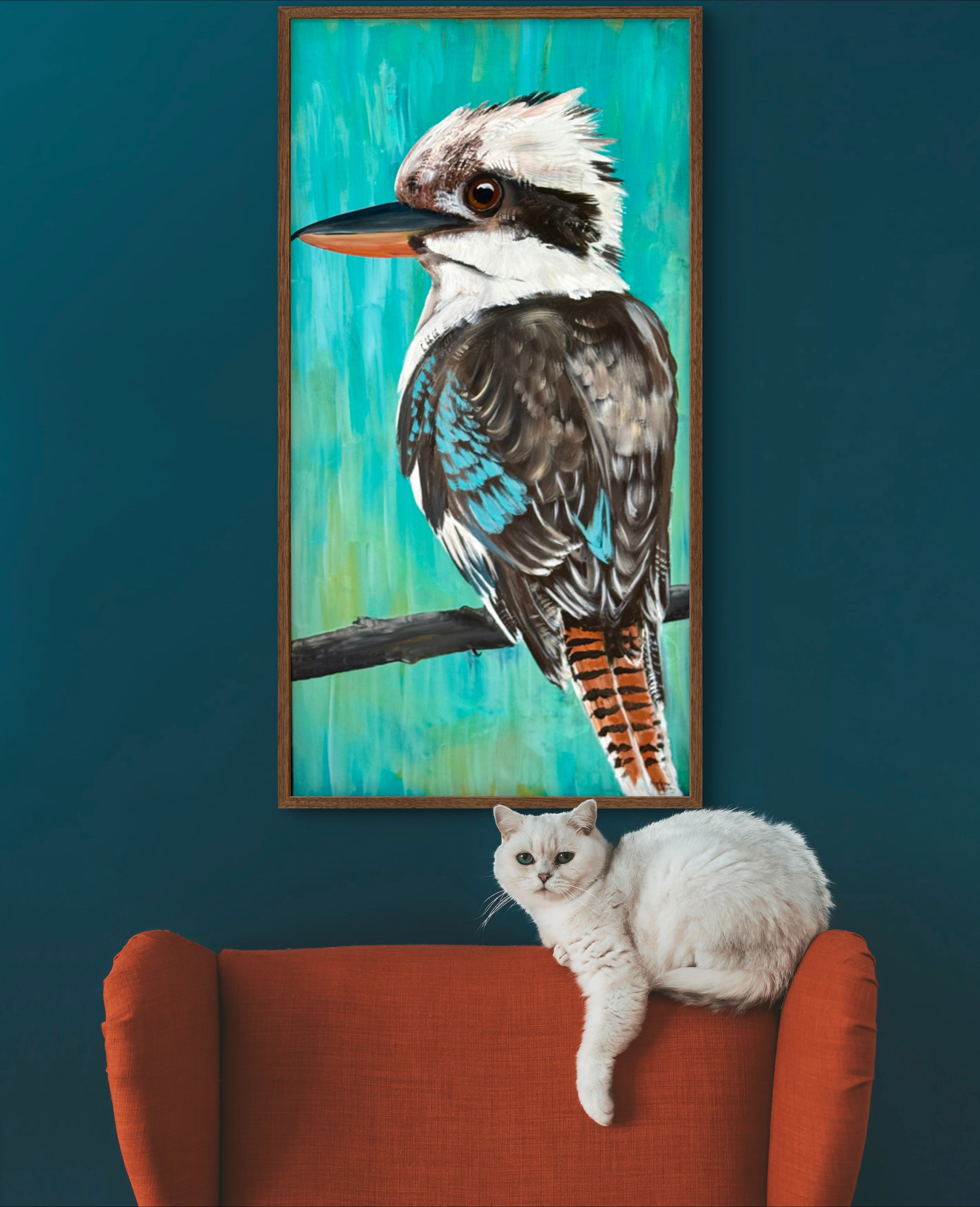 Kalvin the Kookaburra