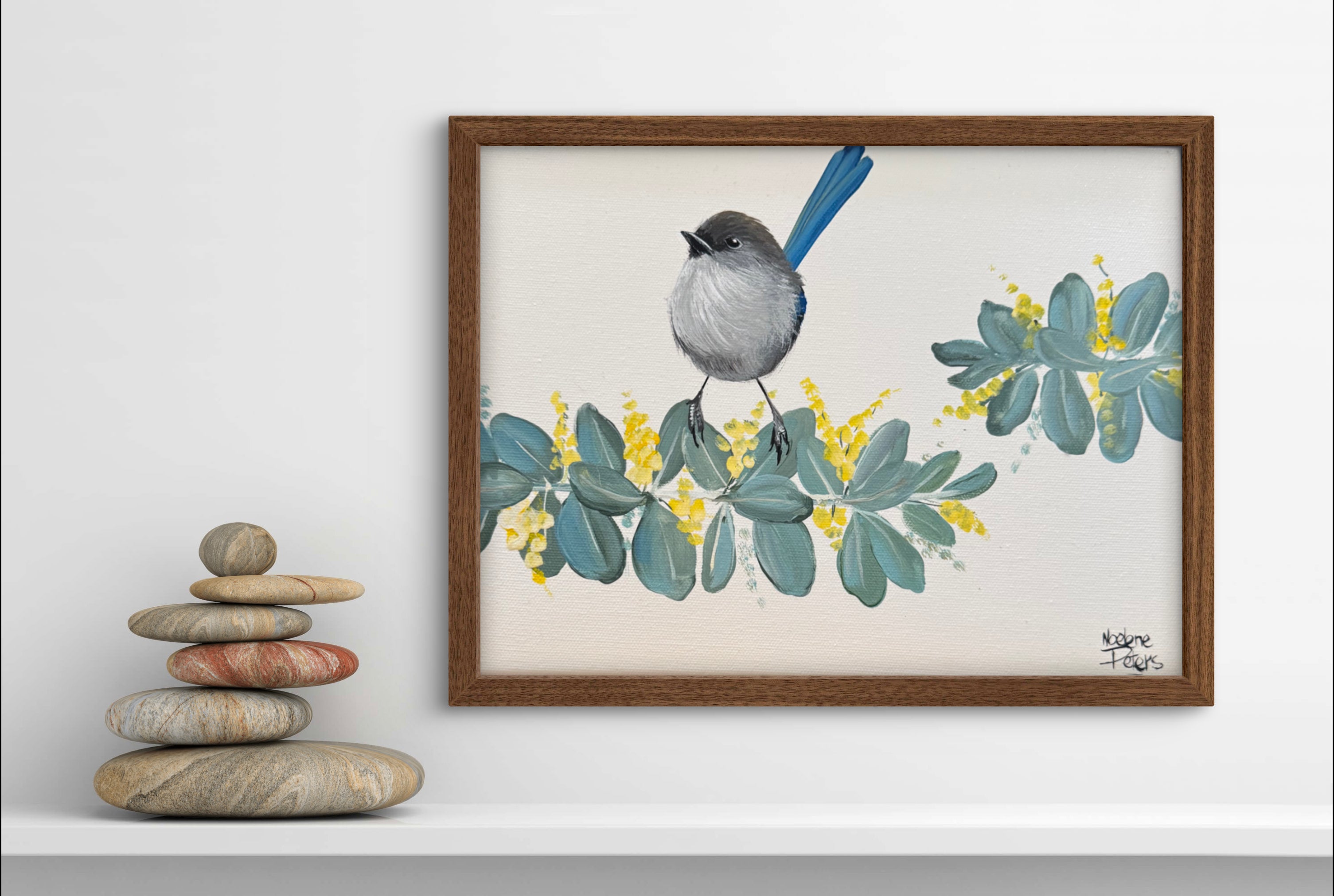 Wren on wattle