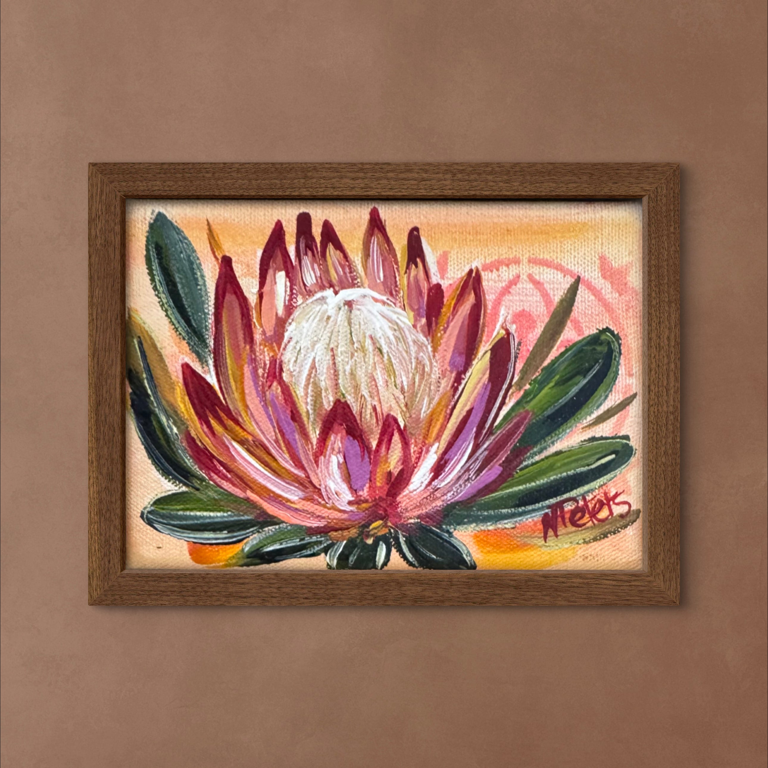 Small Protea