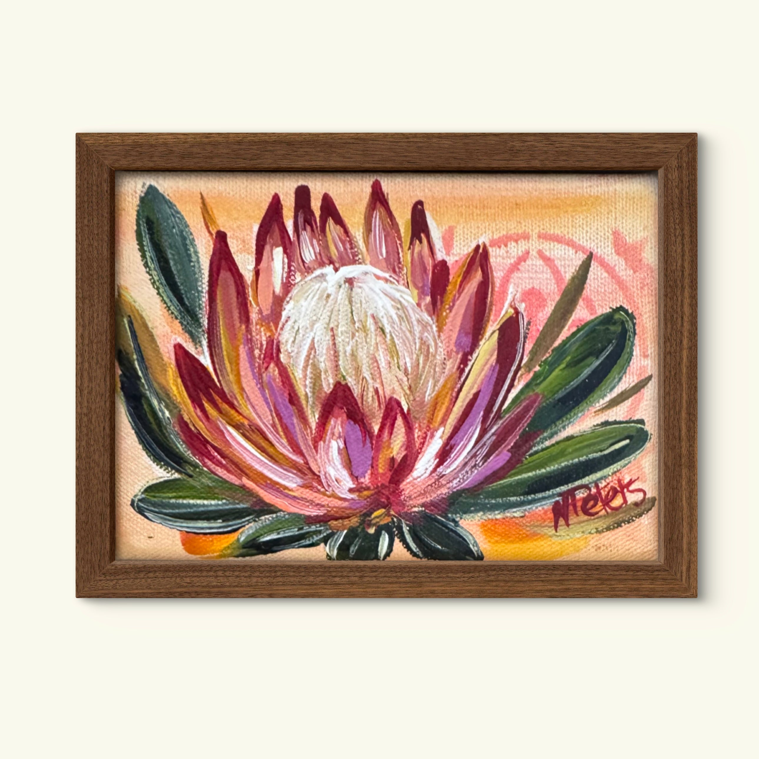 Small Protea
