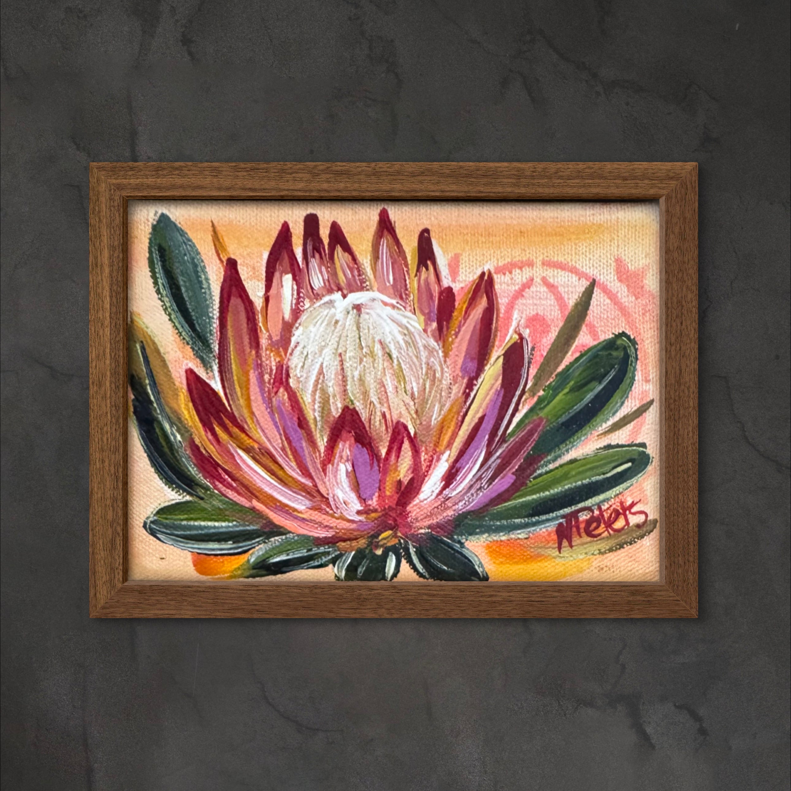 Small Protea