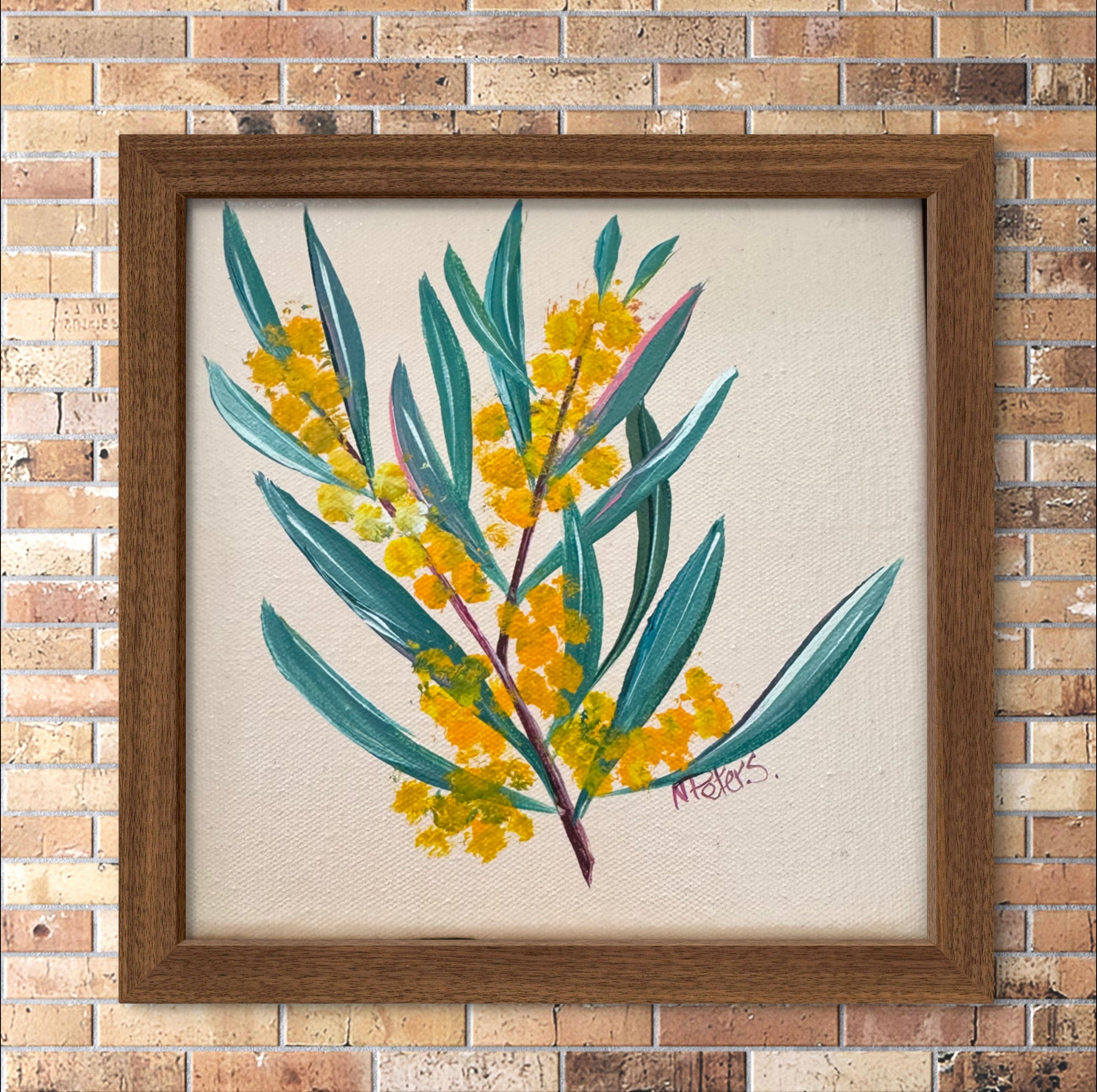 Wattle on soft pink