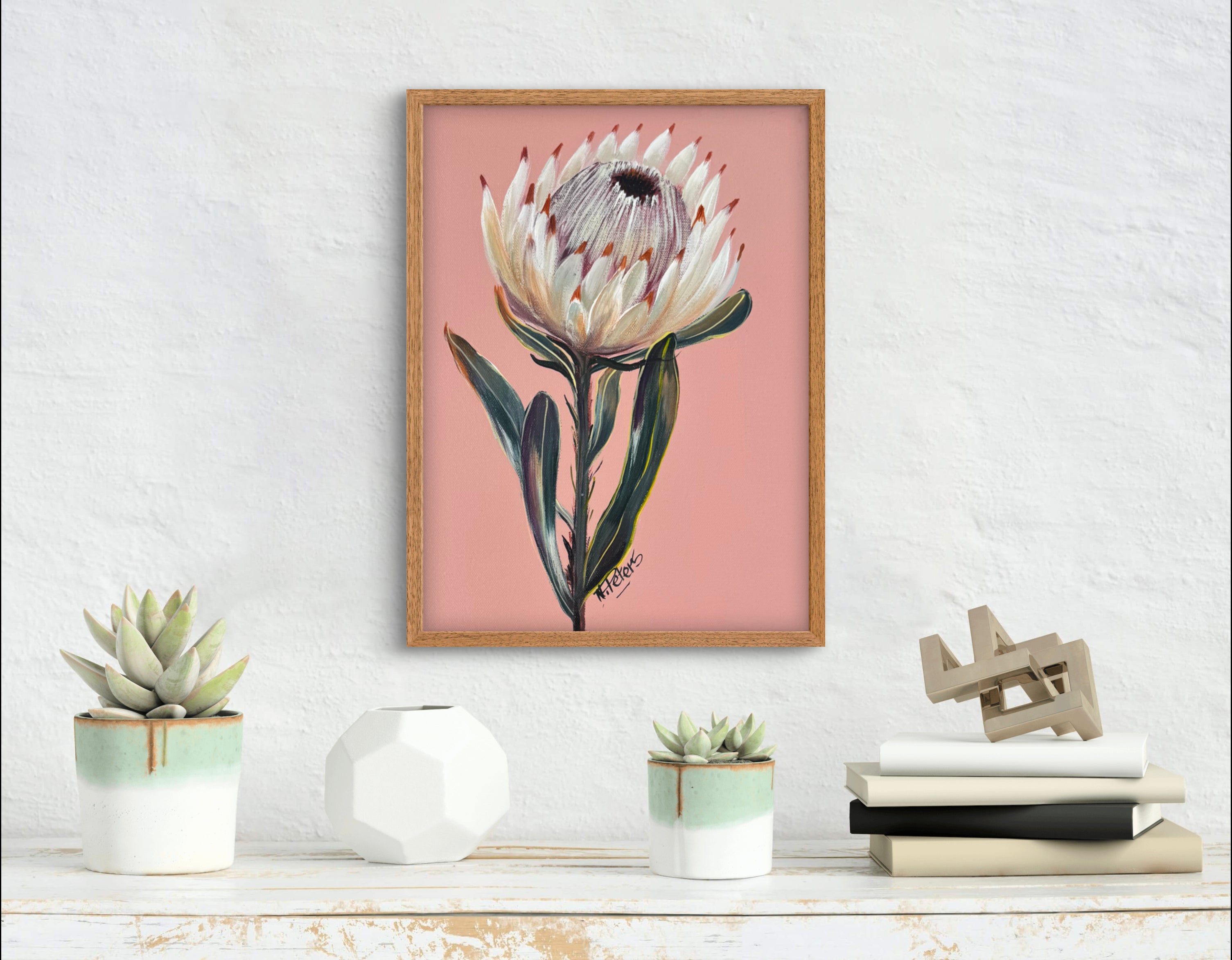 Protea on Pink