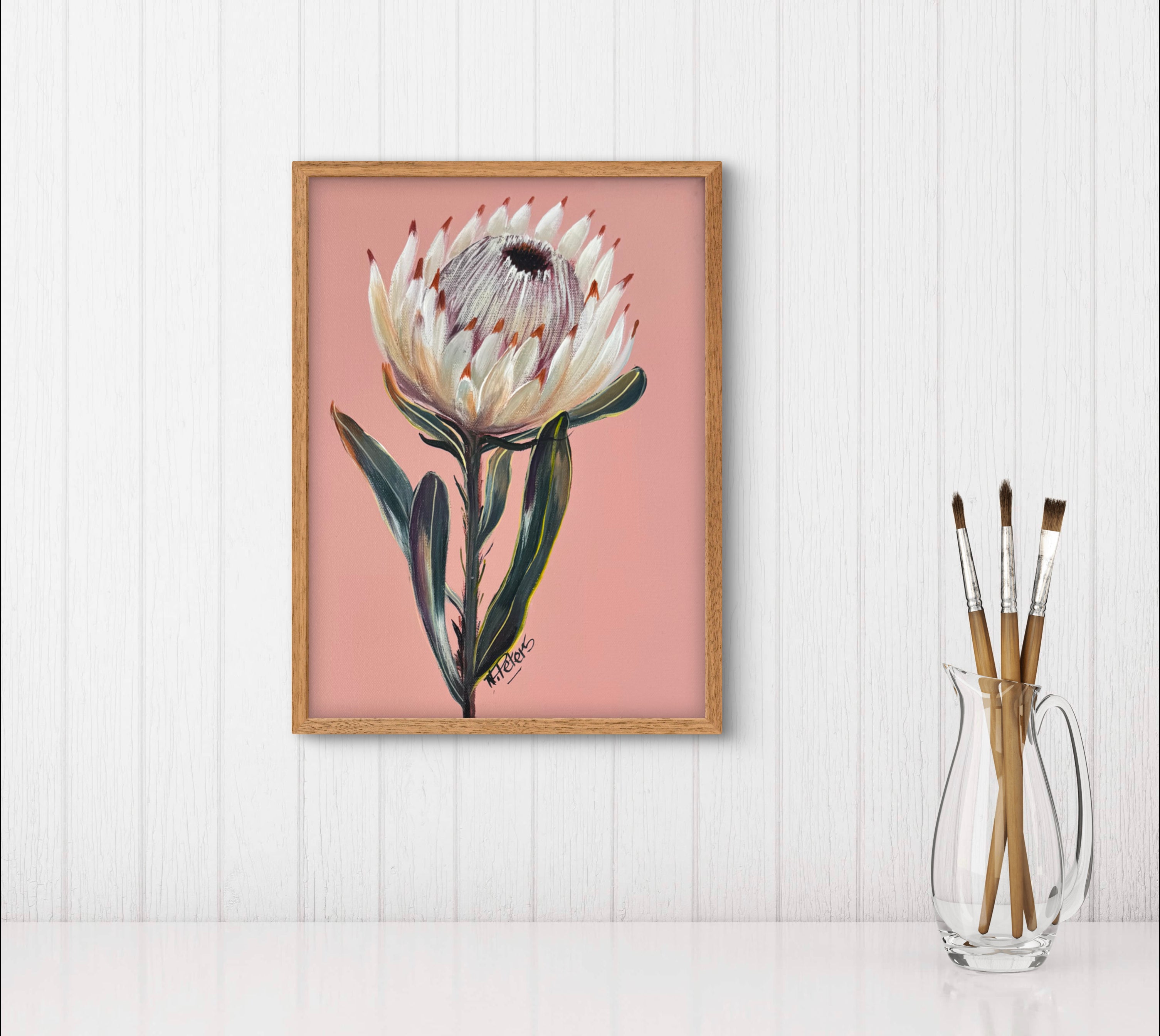 Protea on Pink