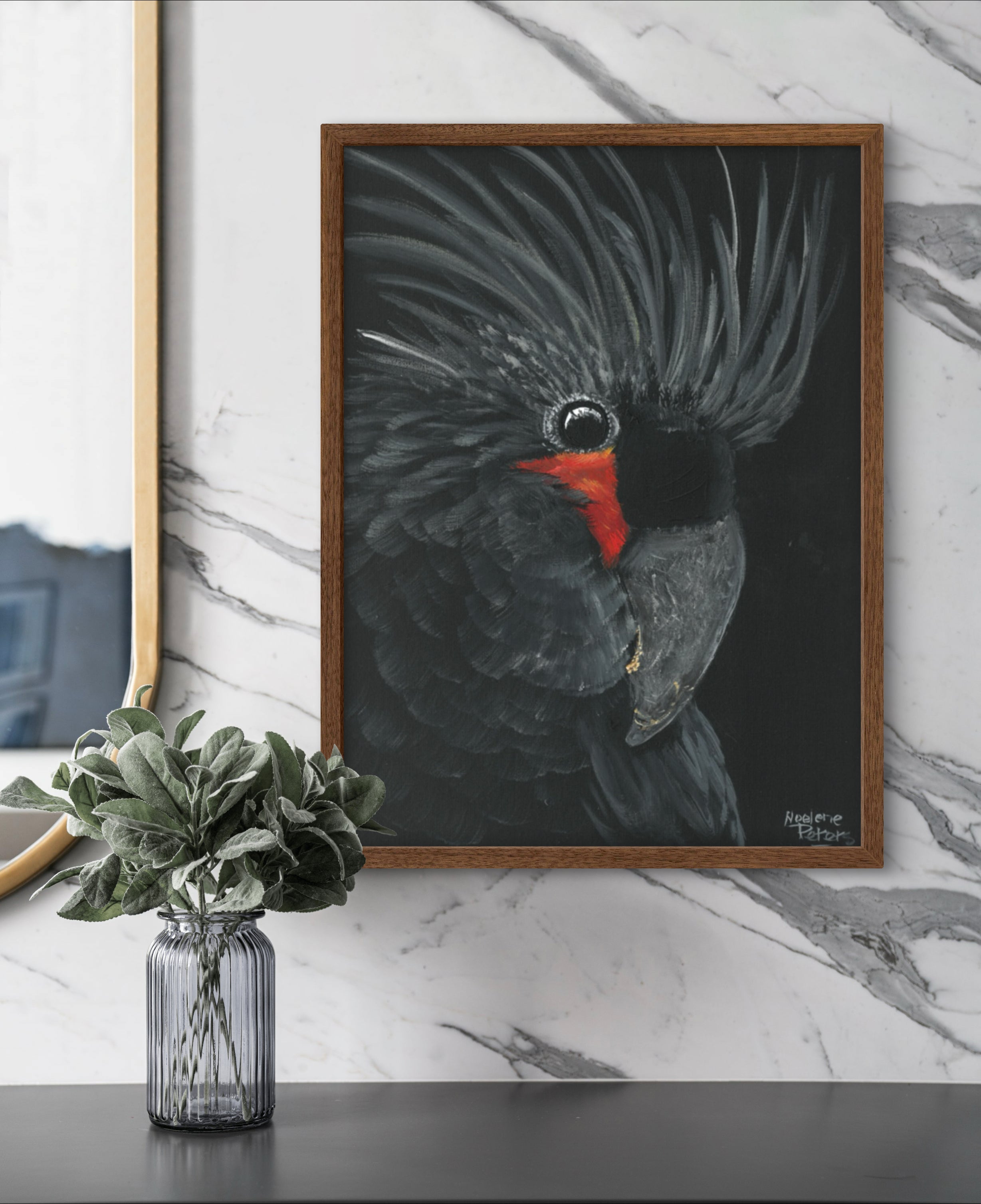 Palm Cockatoo