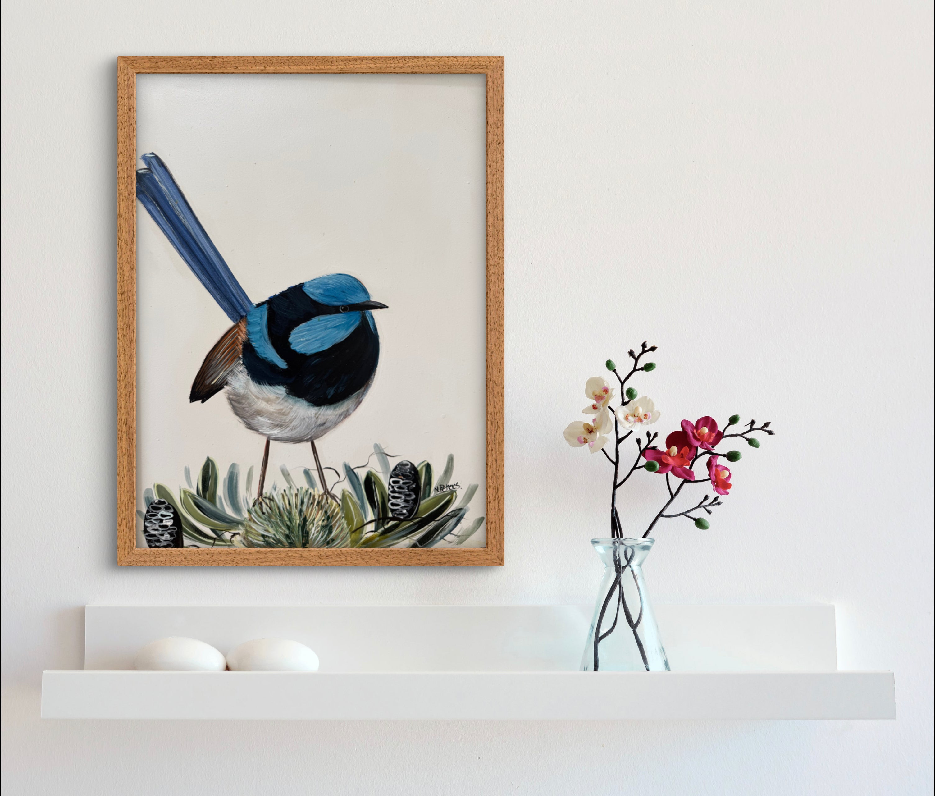 Blue Wren and Banksias