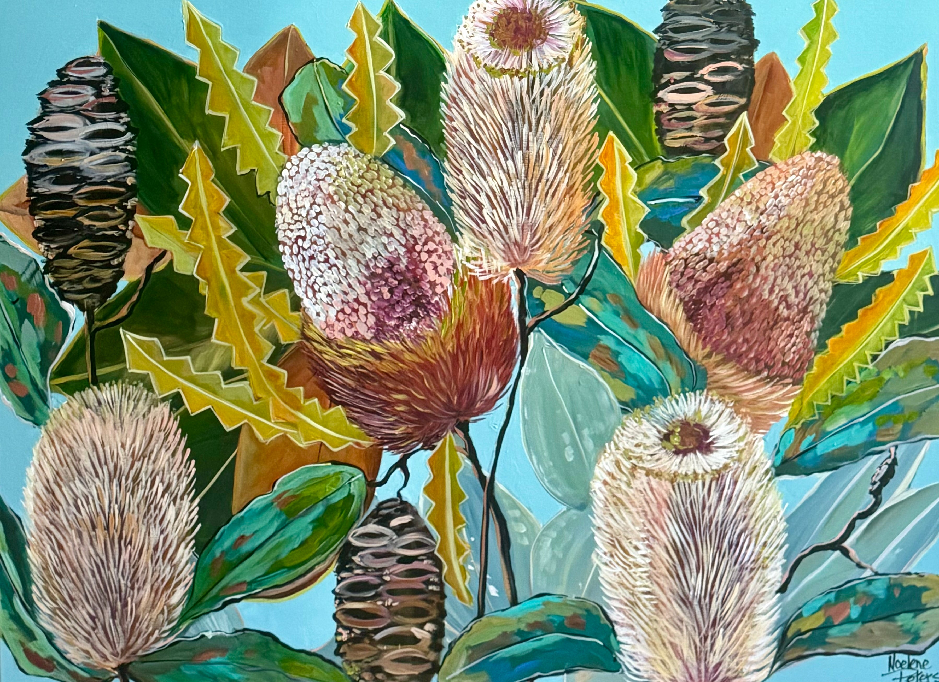 Banksia Beauty