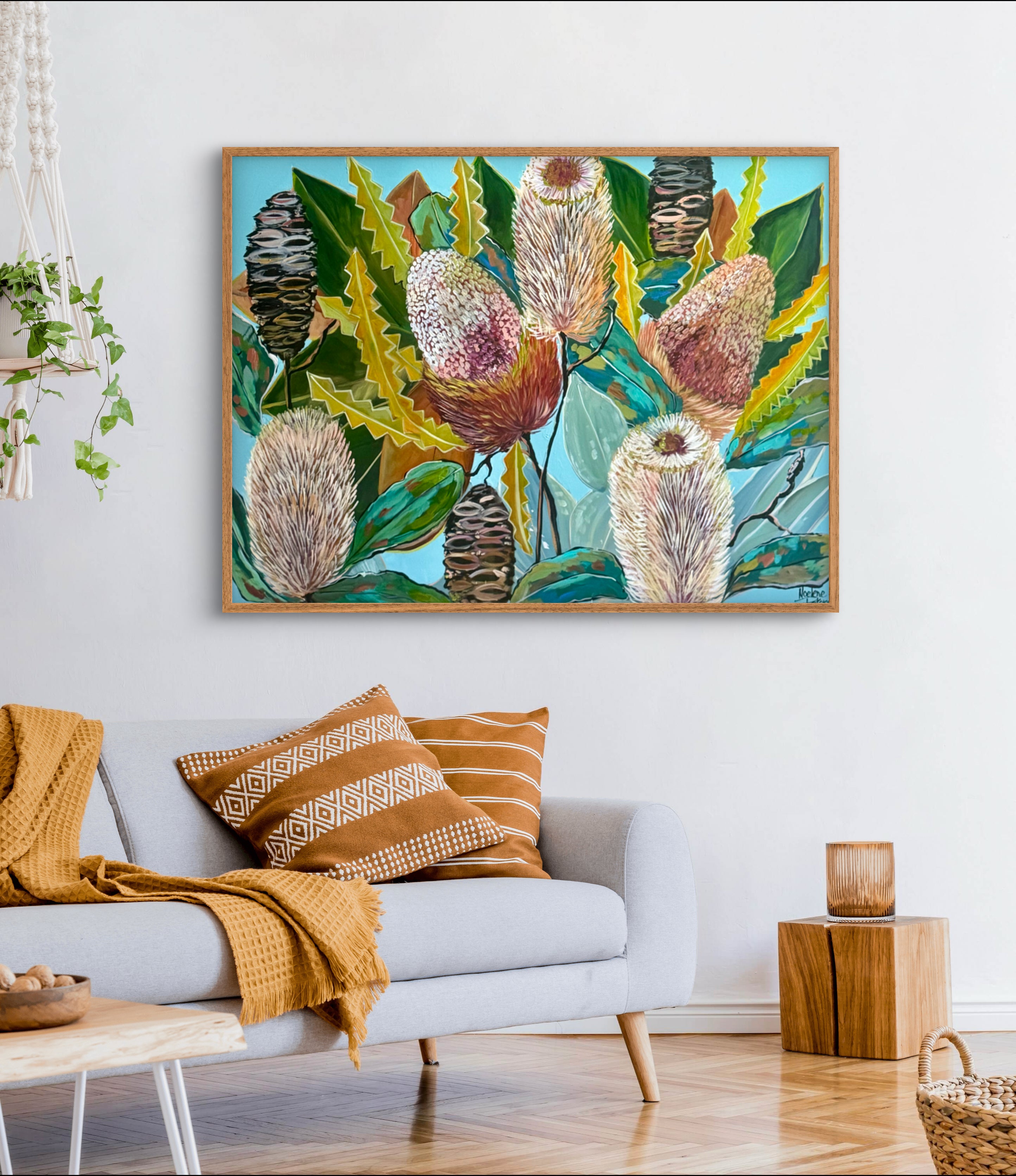 Banksia Beauty