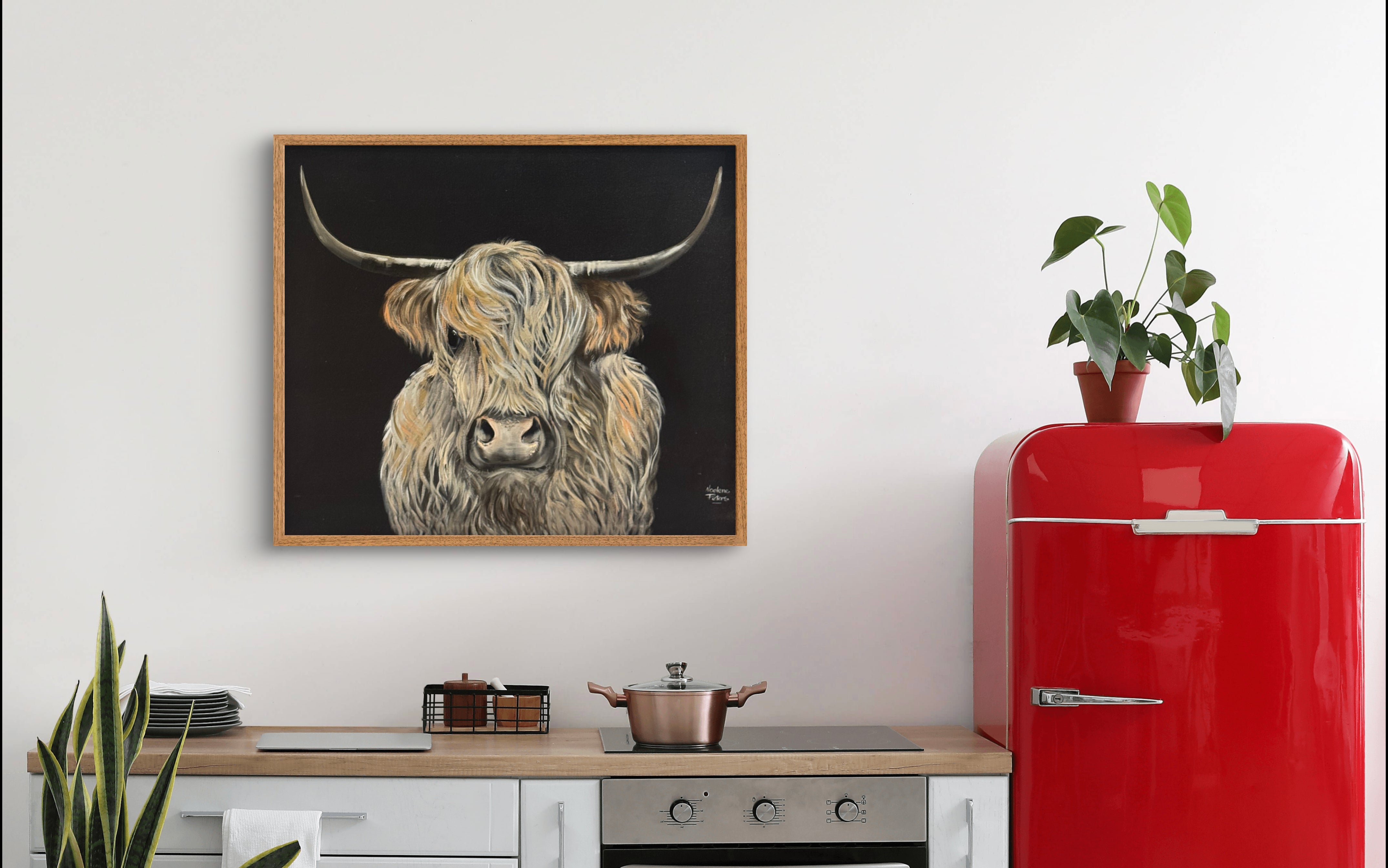 The Highland Coo